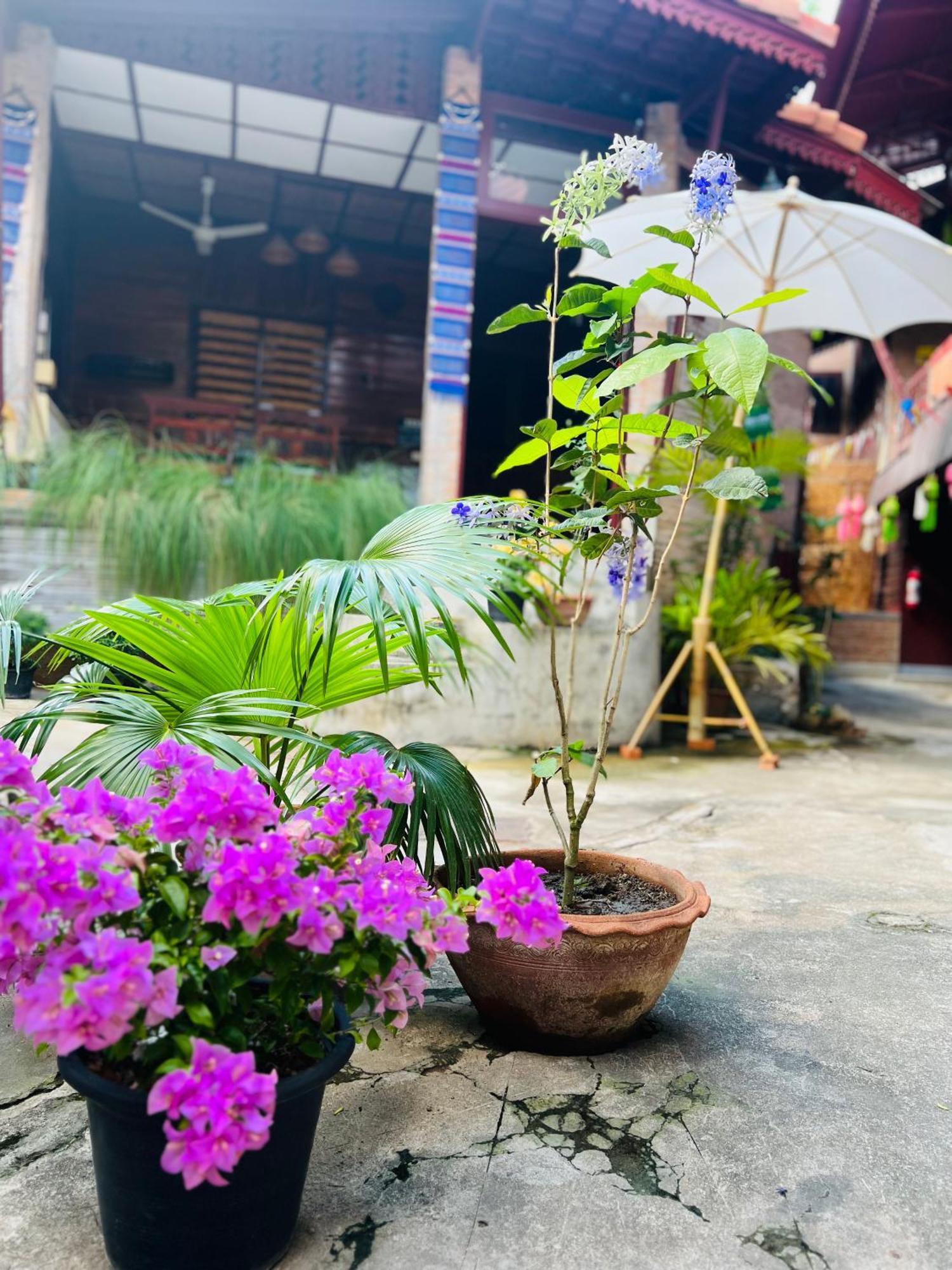 Boutique House Nipha Chiang Mai Exterior foto