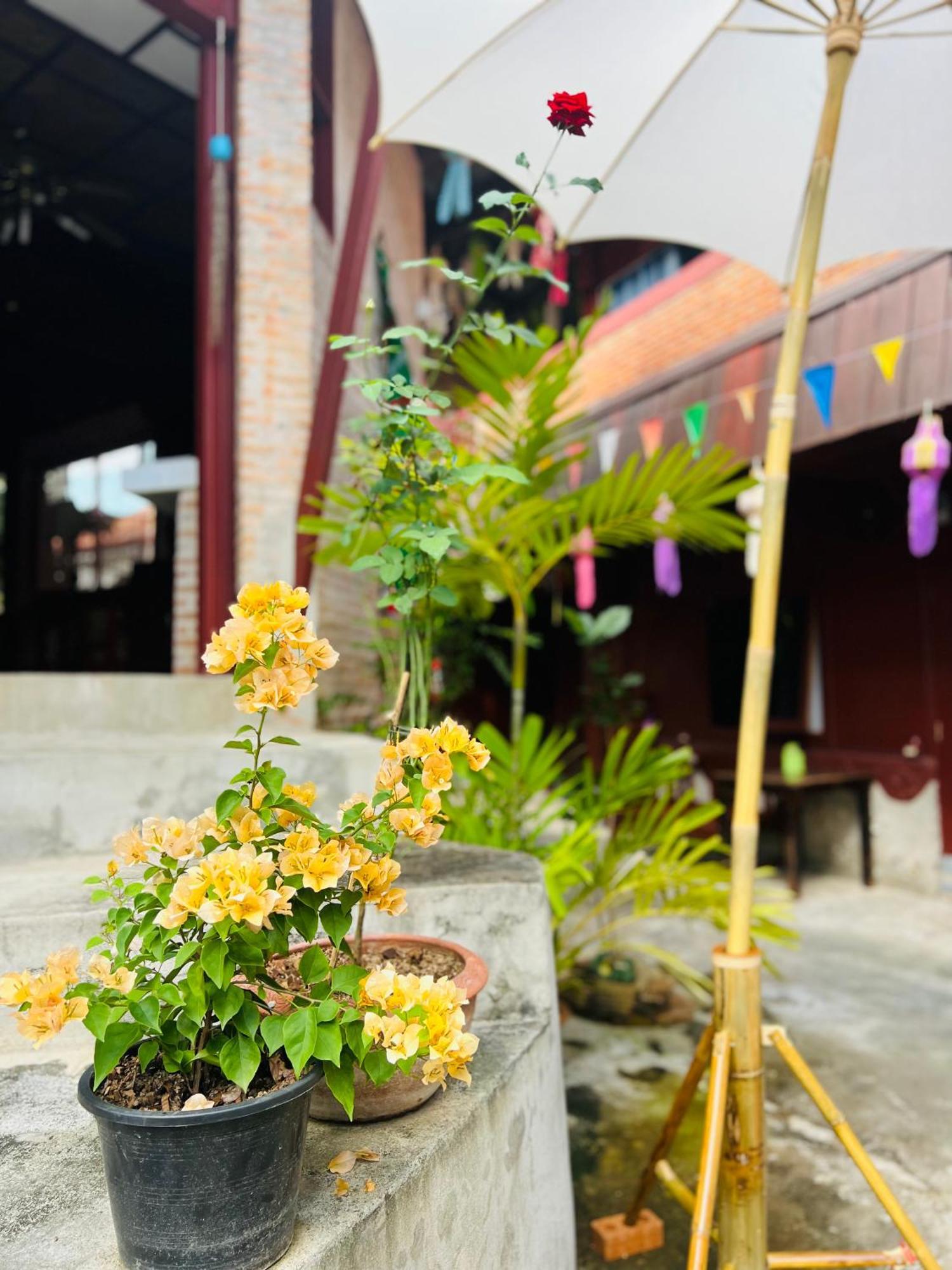 Boutique House Nipha Chiang Mai Exterior foto
