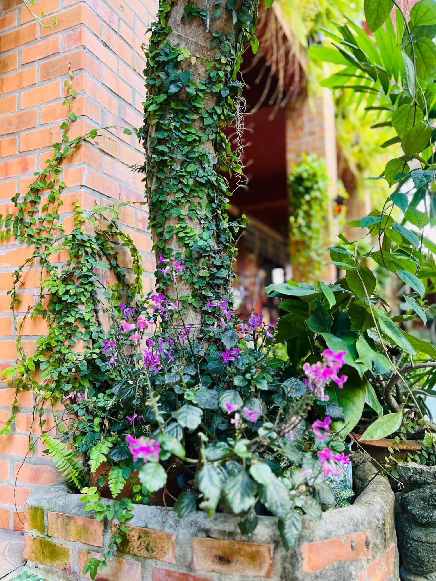 Boutique House Nipha Chiang Mai Exterior foto